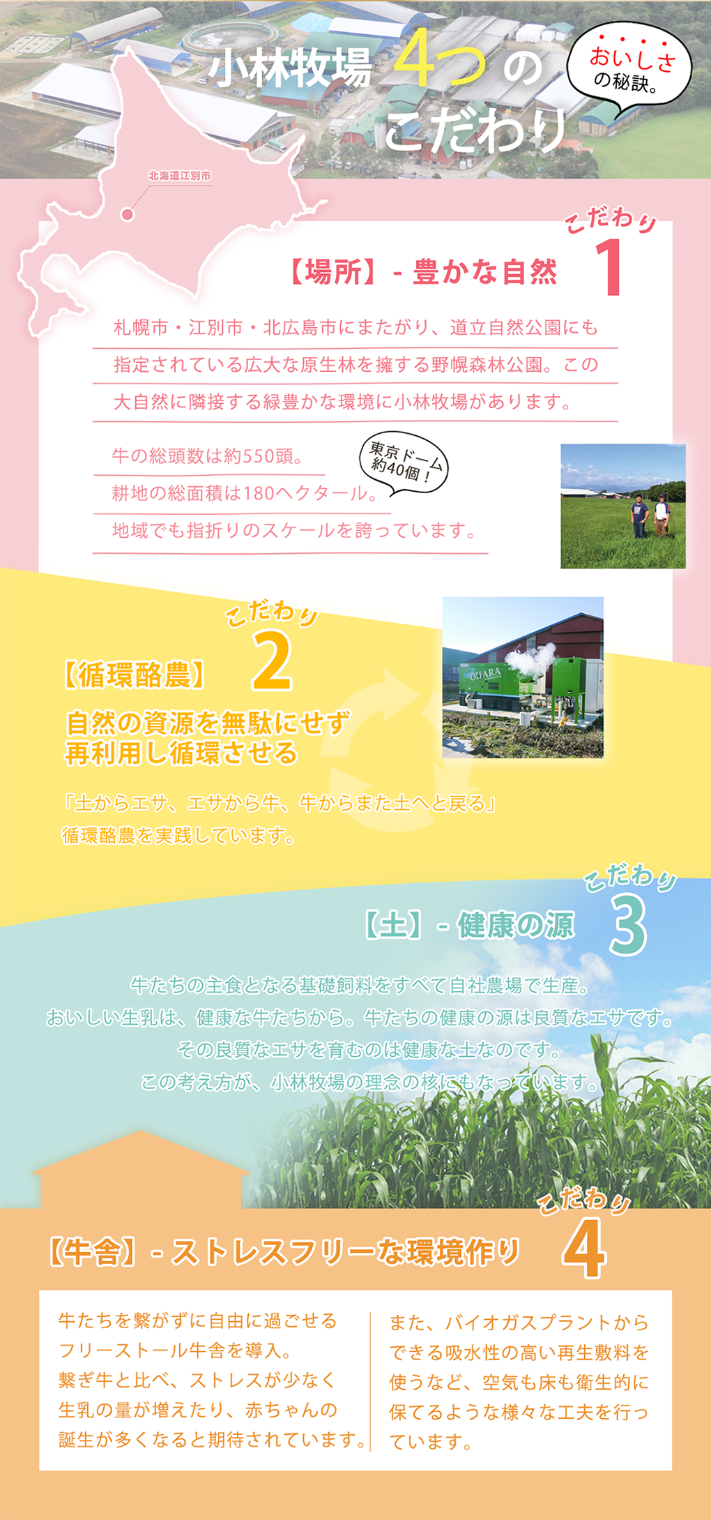 北海道 手作りカマンブルーチーズ