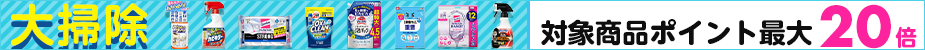 カテゴリ上段_大掃除