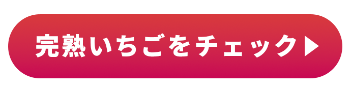 ≪いちごフェア≫いちご