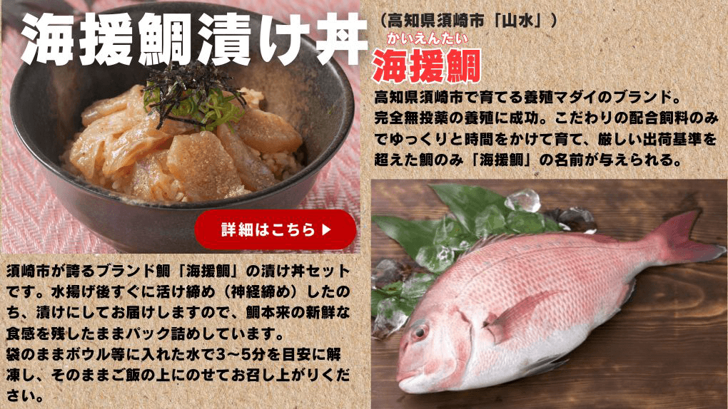 高知県 海援鯛漬け丼