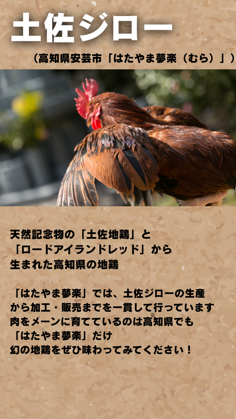 高知県 土佐ジロー_ハンバーグ