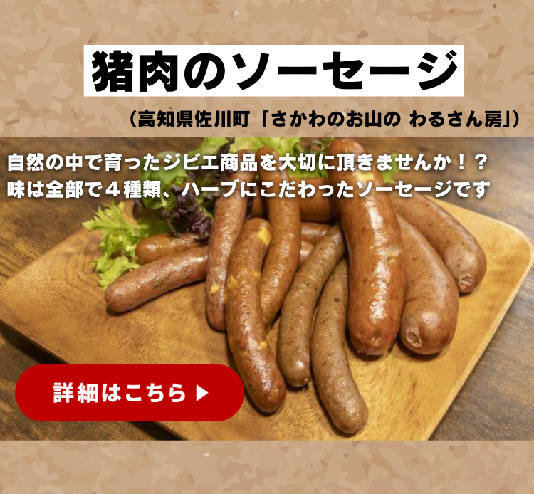 高知県 猪肉