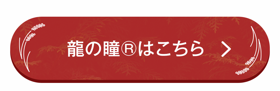 龍の瞳はこちら