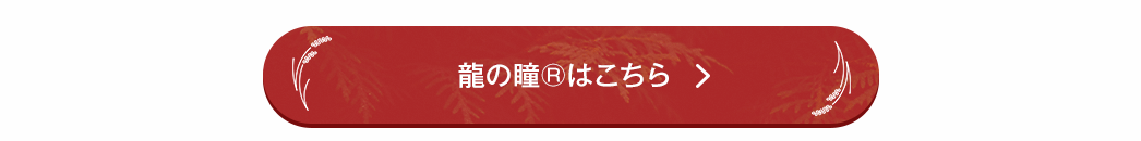 龍の瞳はこちら
