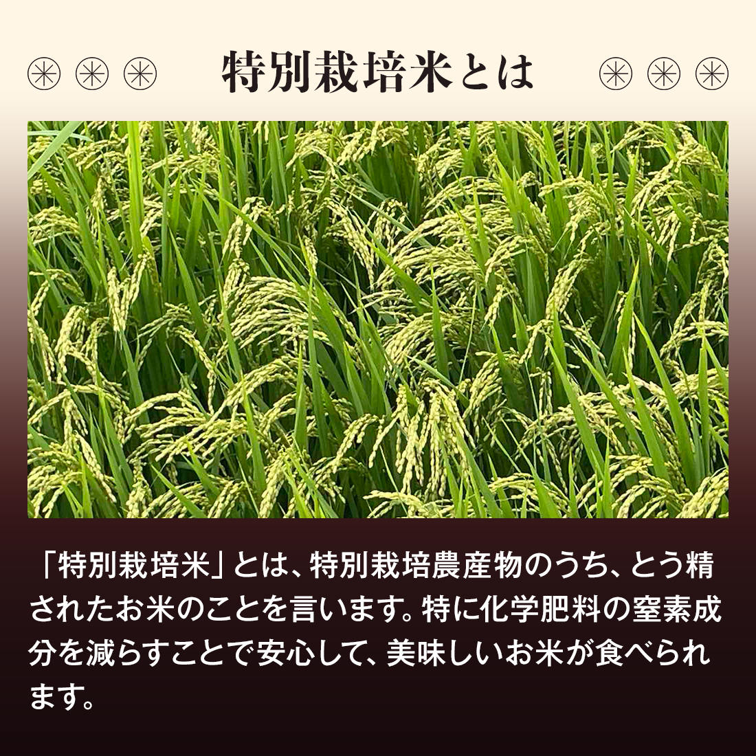 特別栽培米