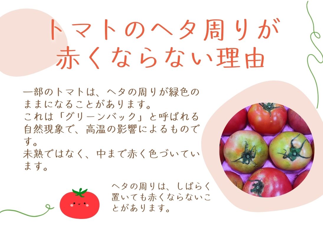 トマトのヘタ周り