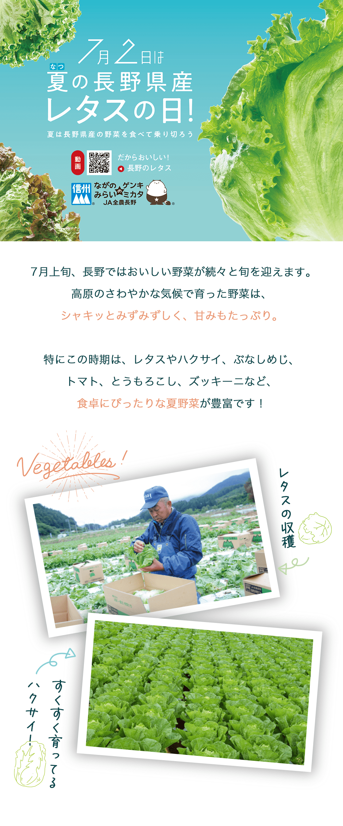 ≪旬便り≫長野県のお野菜