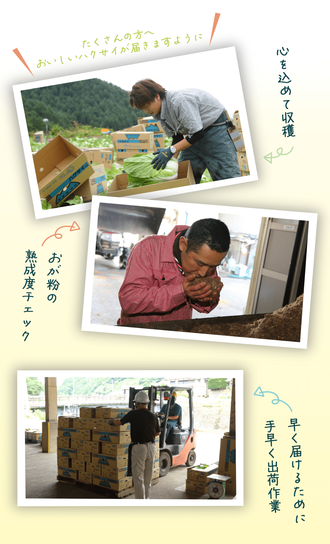 ≪旬便り≫長野県のお野菜