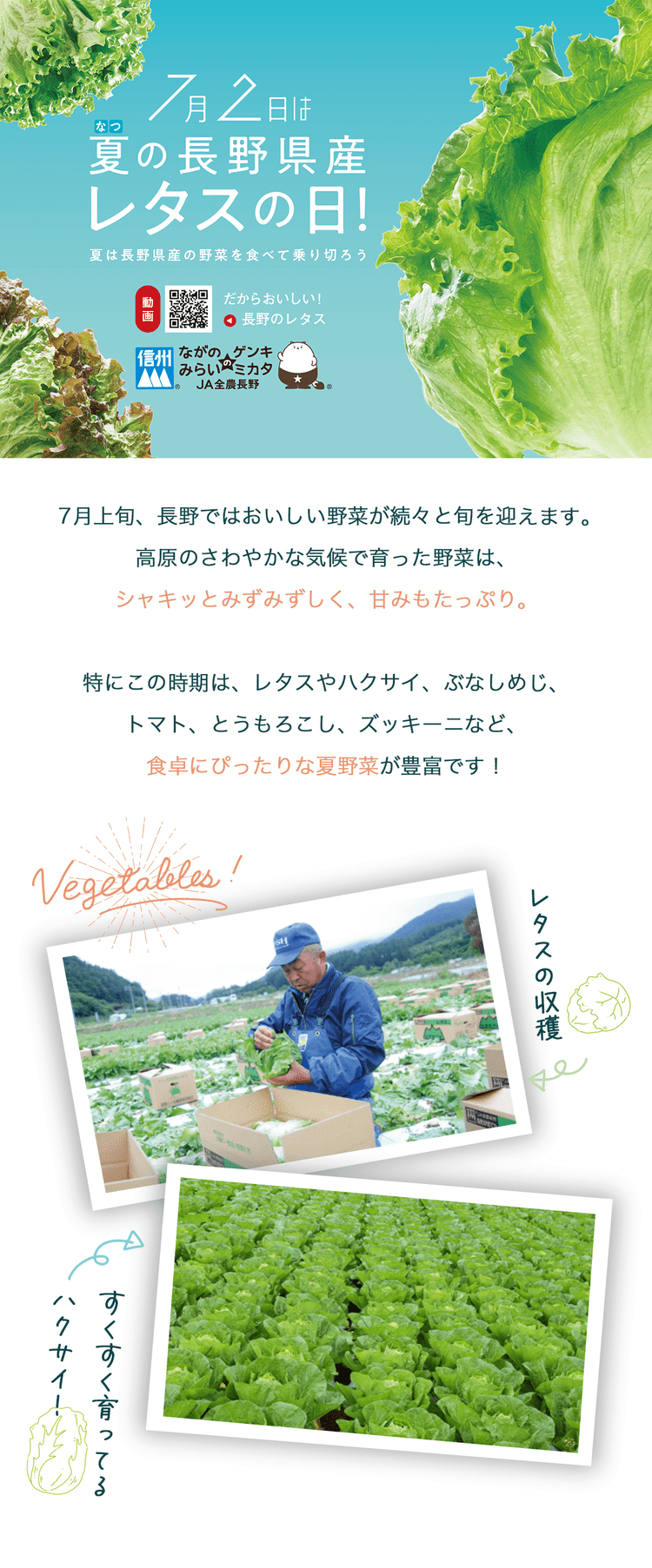 サニーレタス様 fit=scale-down,w=1200