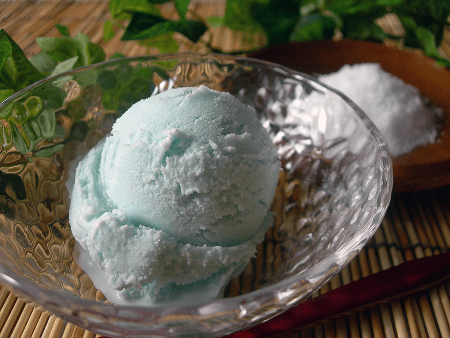 高知アイス 天日塩ジェラート