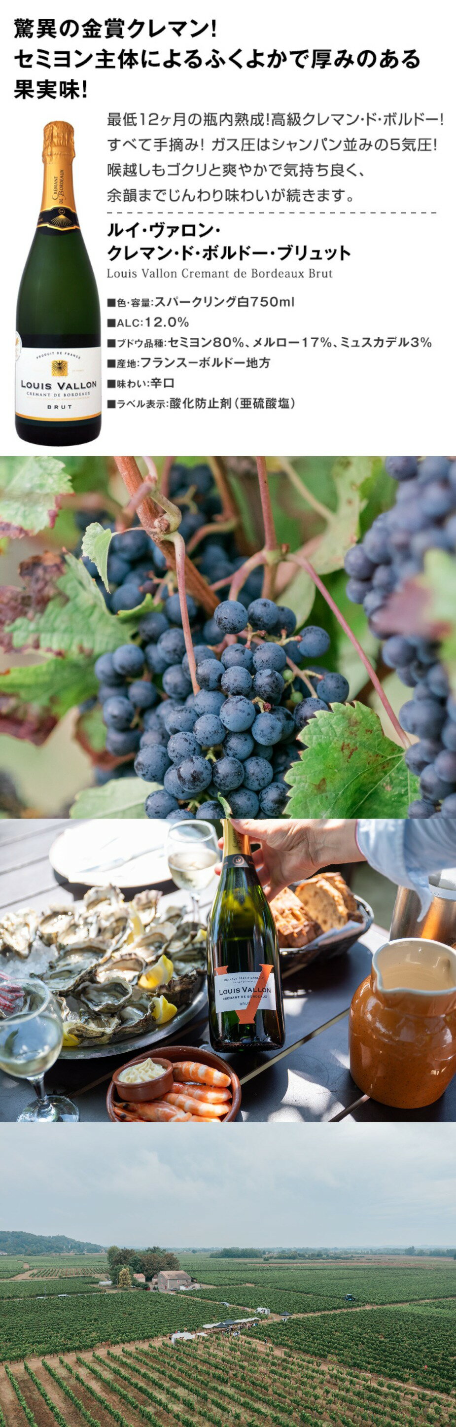 ルイ・ヴァロン・クレマン・ド・ボルドー・ブリュット