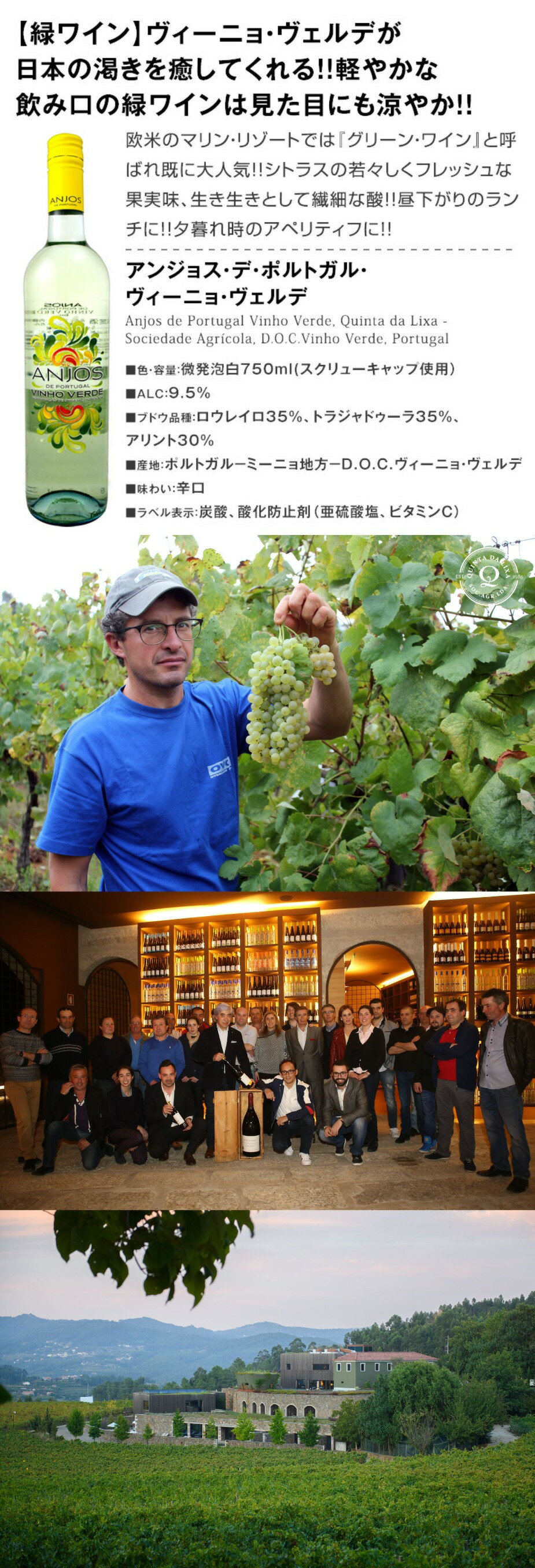 アンジョス・デ・ポルトガル・ヴィーニョ・ヴェルデ