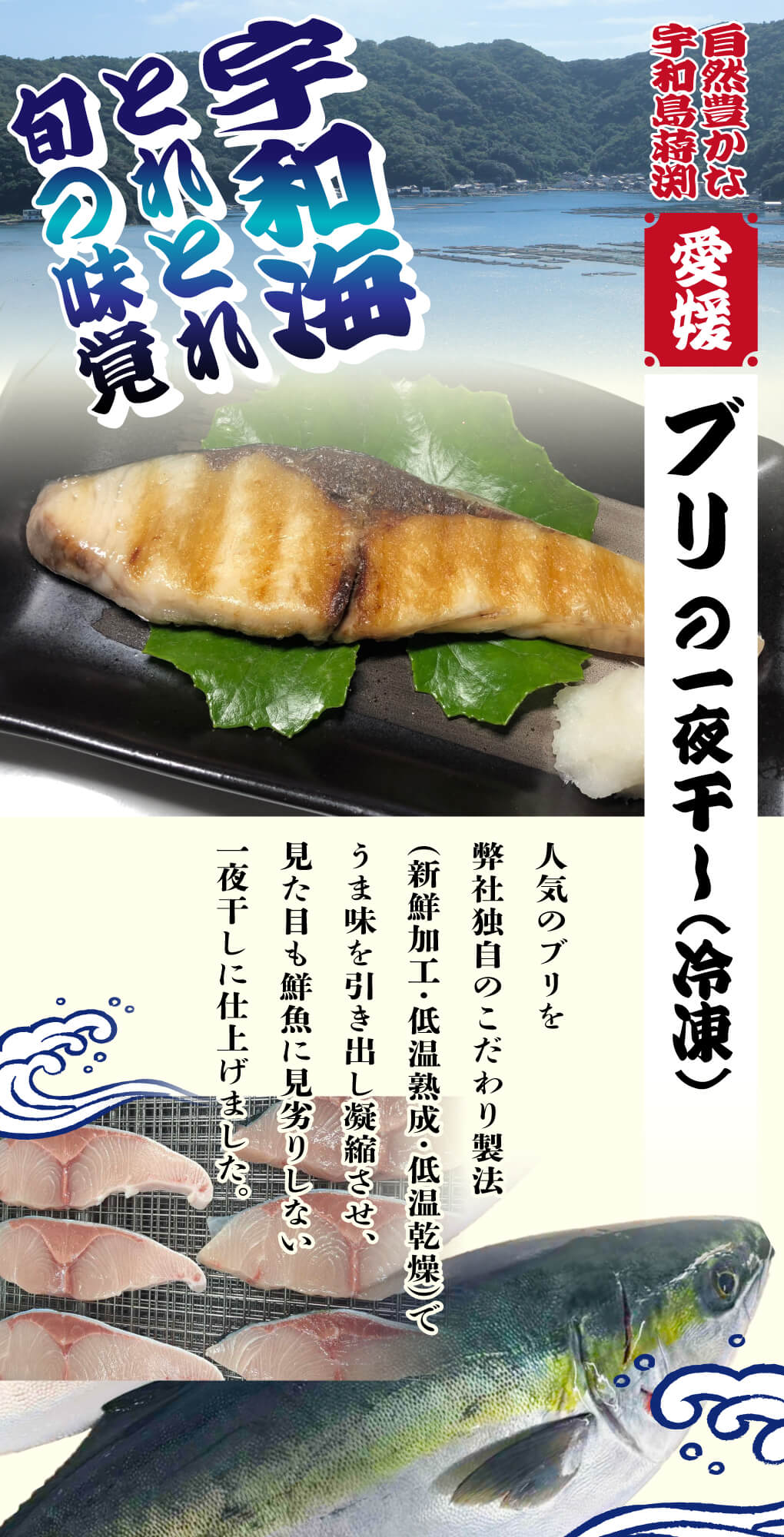 ブリの一夜干し