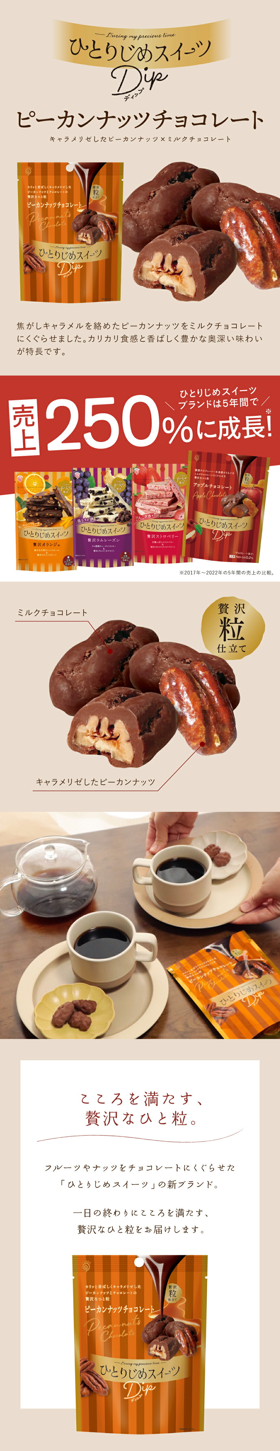 ひとりじめスイーツDip ピーカンナッツチョコレート