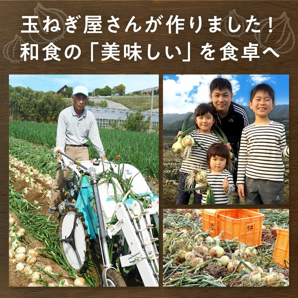 淡路島たまねぎ味噌汁10食