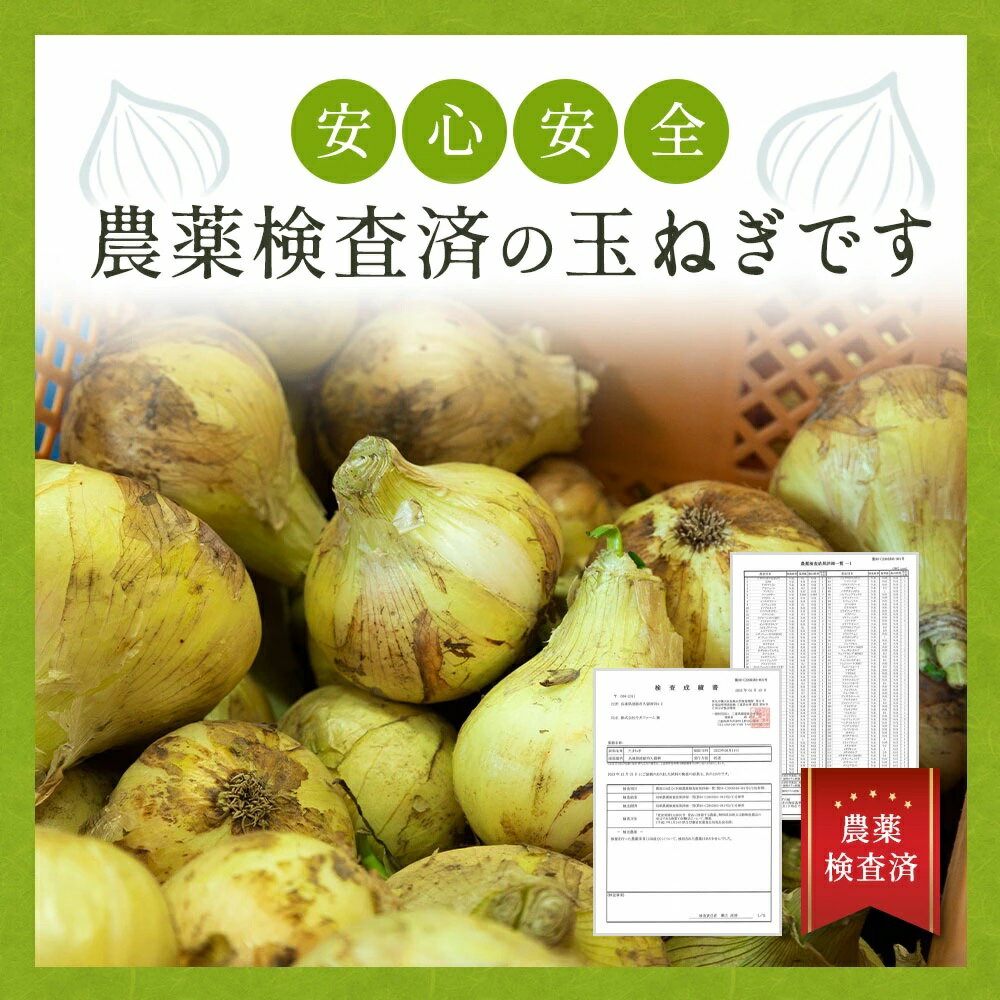淡路島たまねぎ味噌汁10食