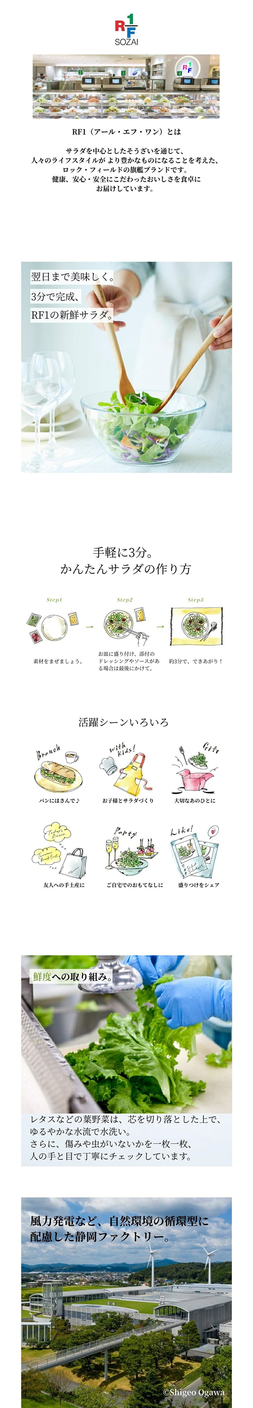 RF1 ローストビーフと揚げごぼうのサラダ旨みソース