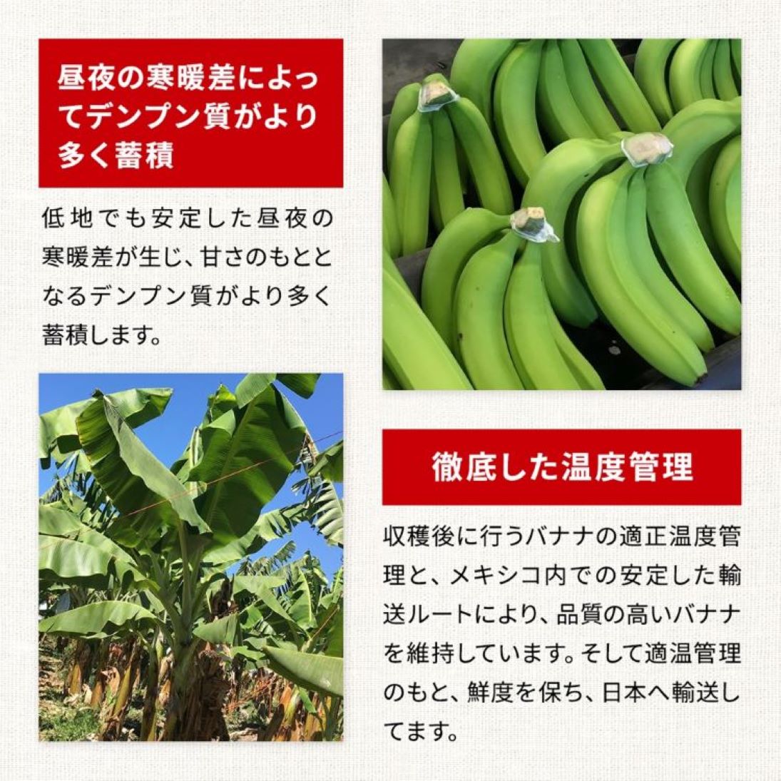 有機バナナ