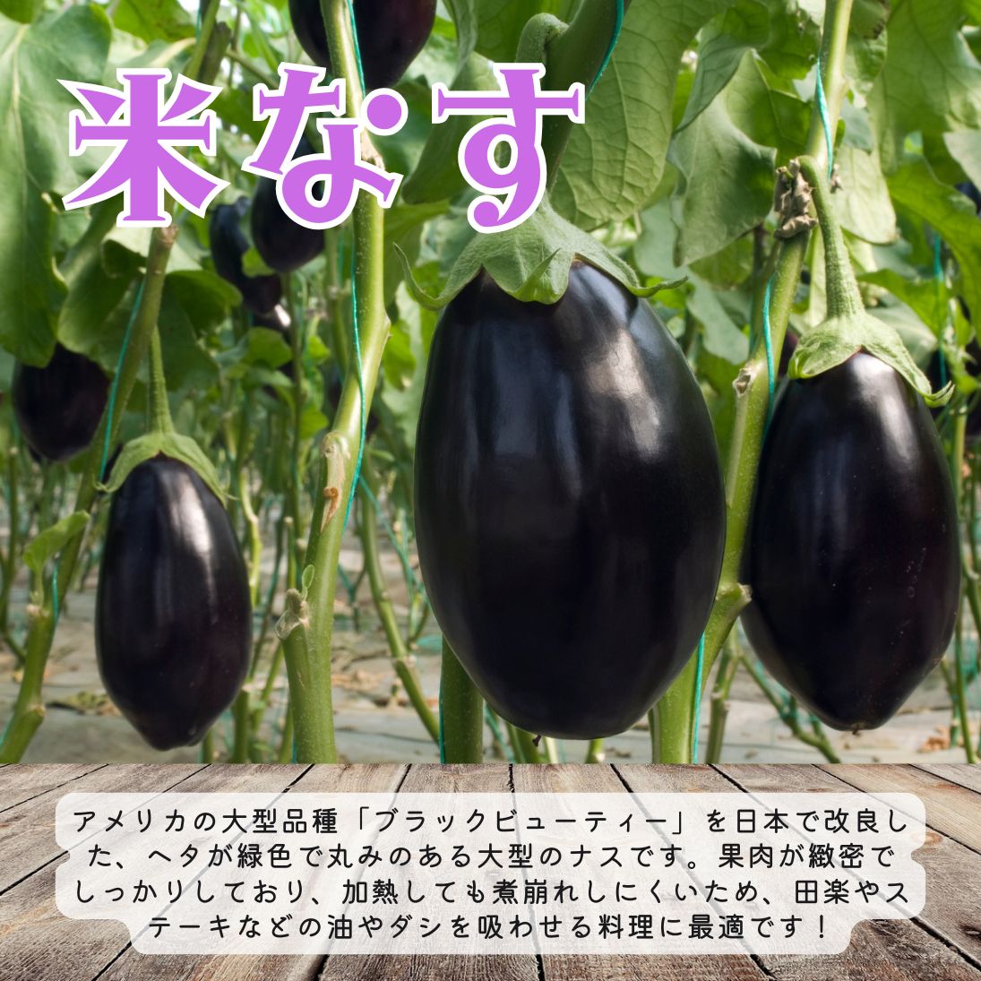 米なす