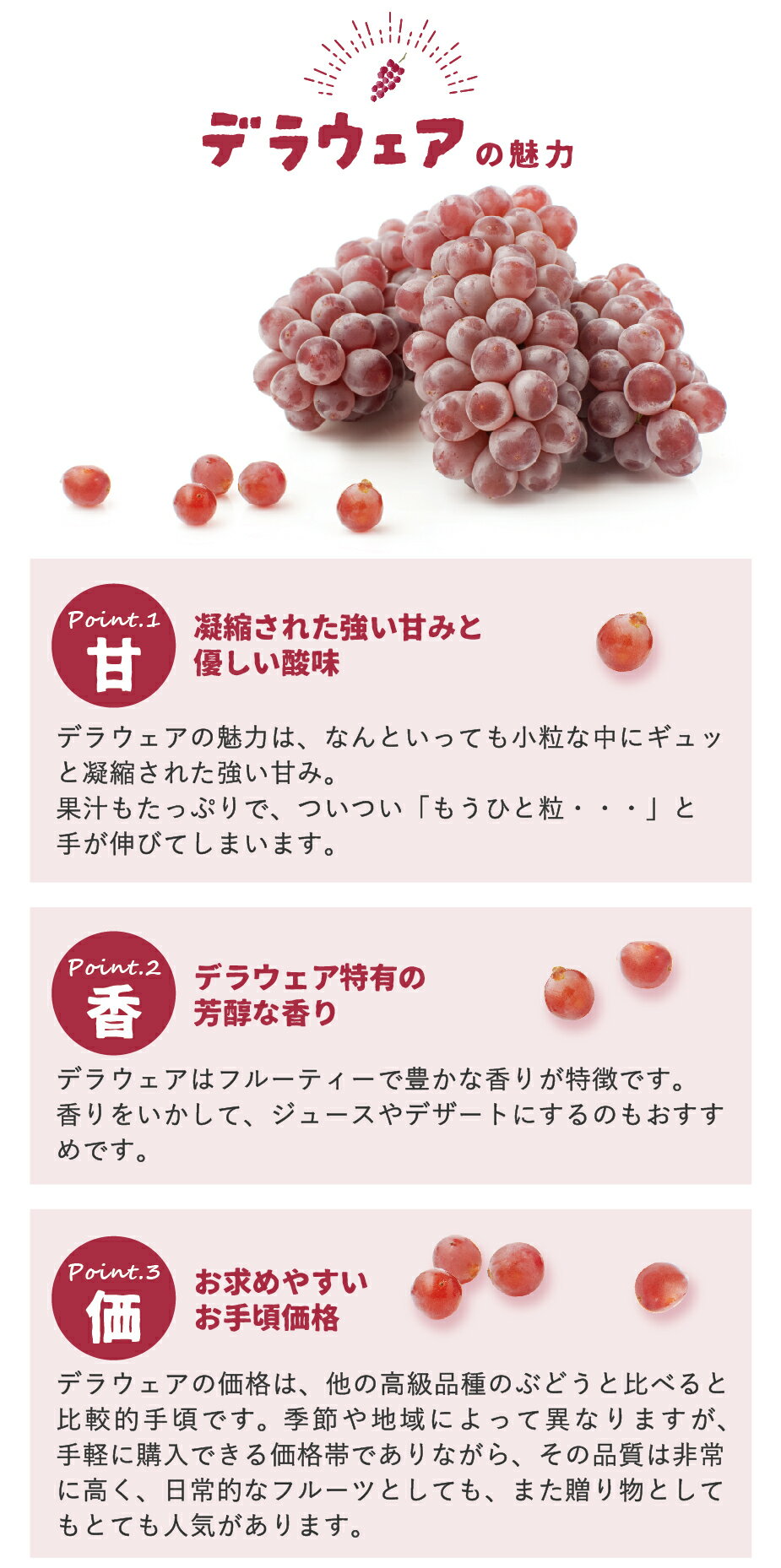 旬便り