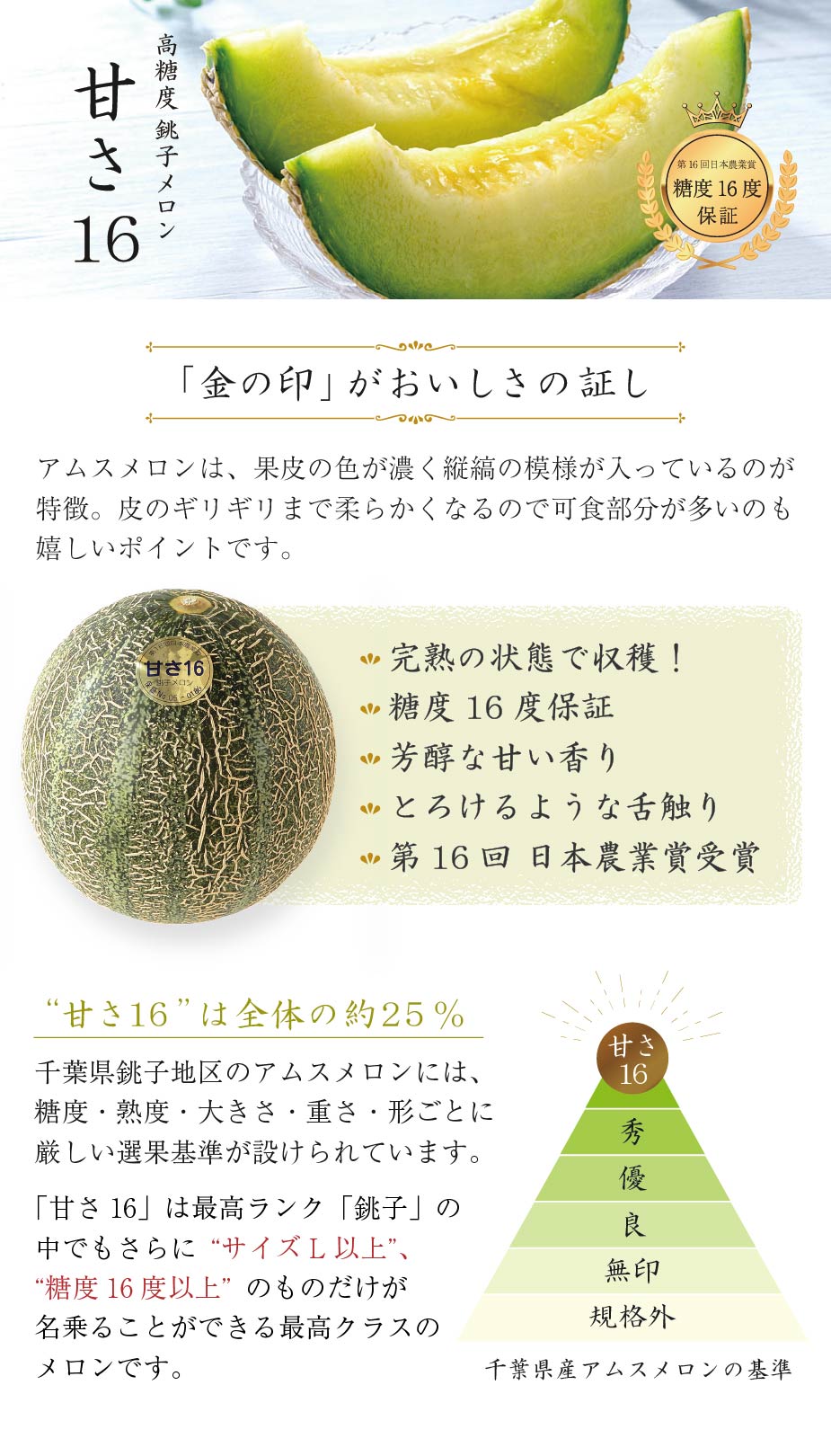 旬便り