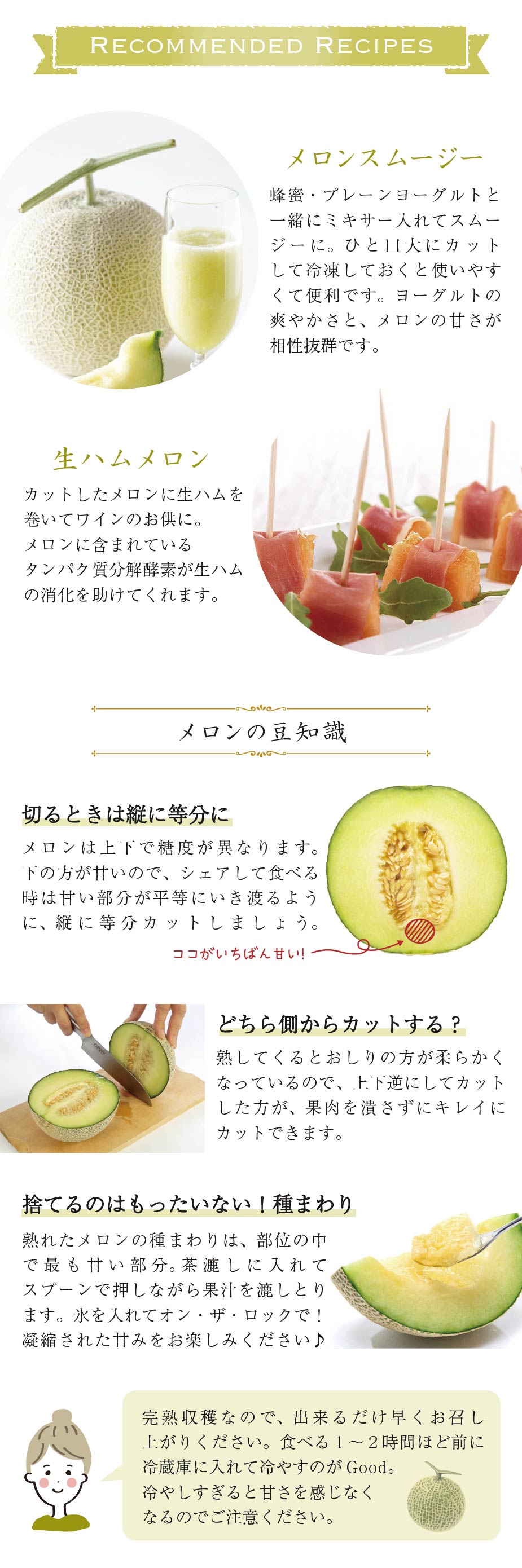 旬便り