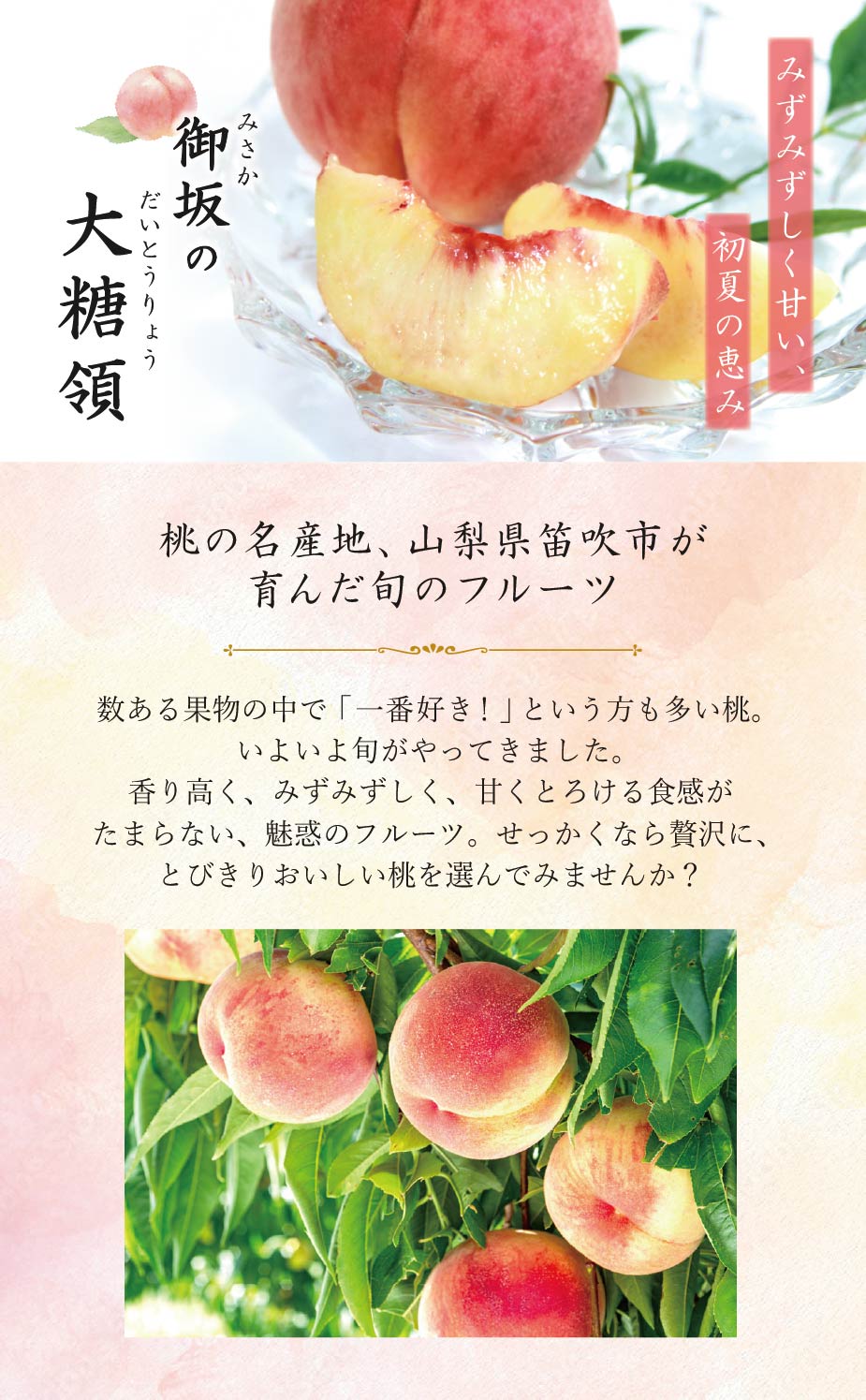 ≪旬便り≫御坂の大糖領