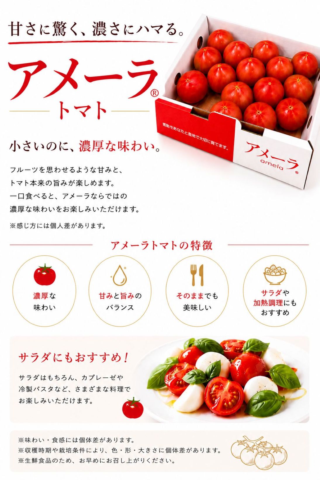 パインスライス