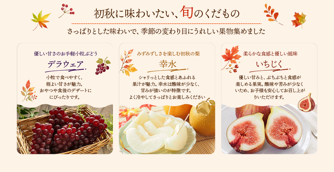 ≪旬便り≫秋の果物を味わう
