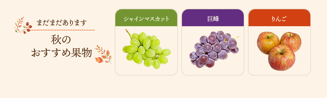 ≪旬便り≫秋の果物を味わう