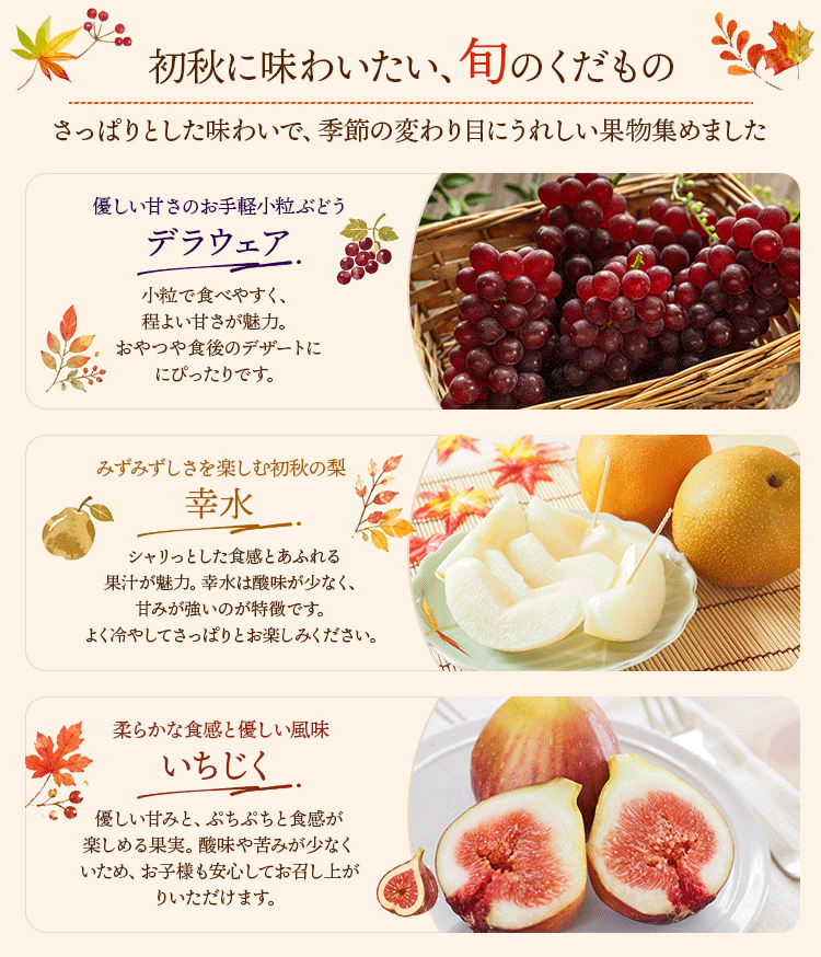 ≪旬便り≫秋の果物を味わう