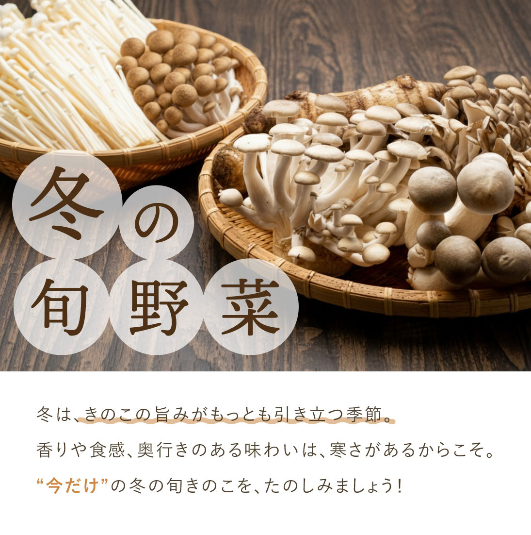 ≪旬便り≫冬のきのこ