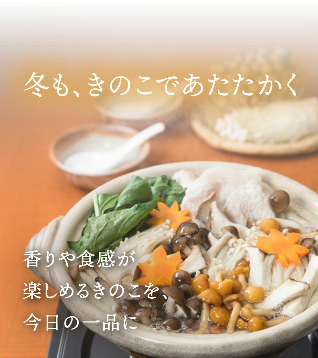 ≪旬便り≫冬のきのこ