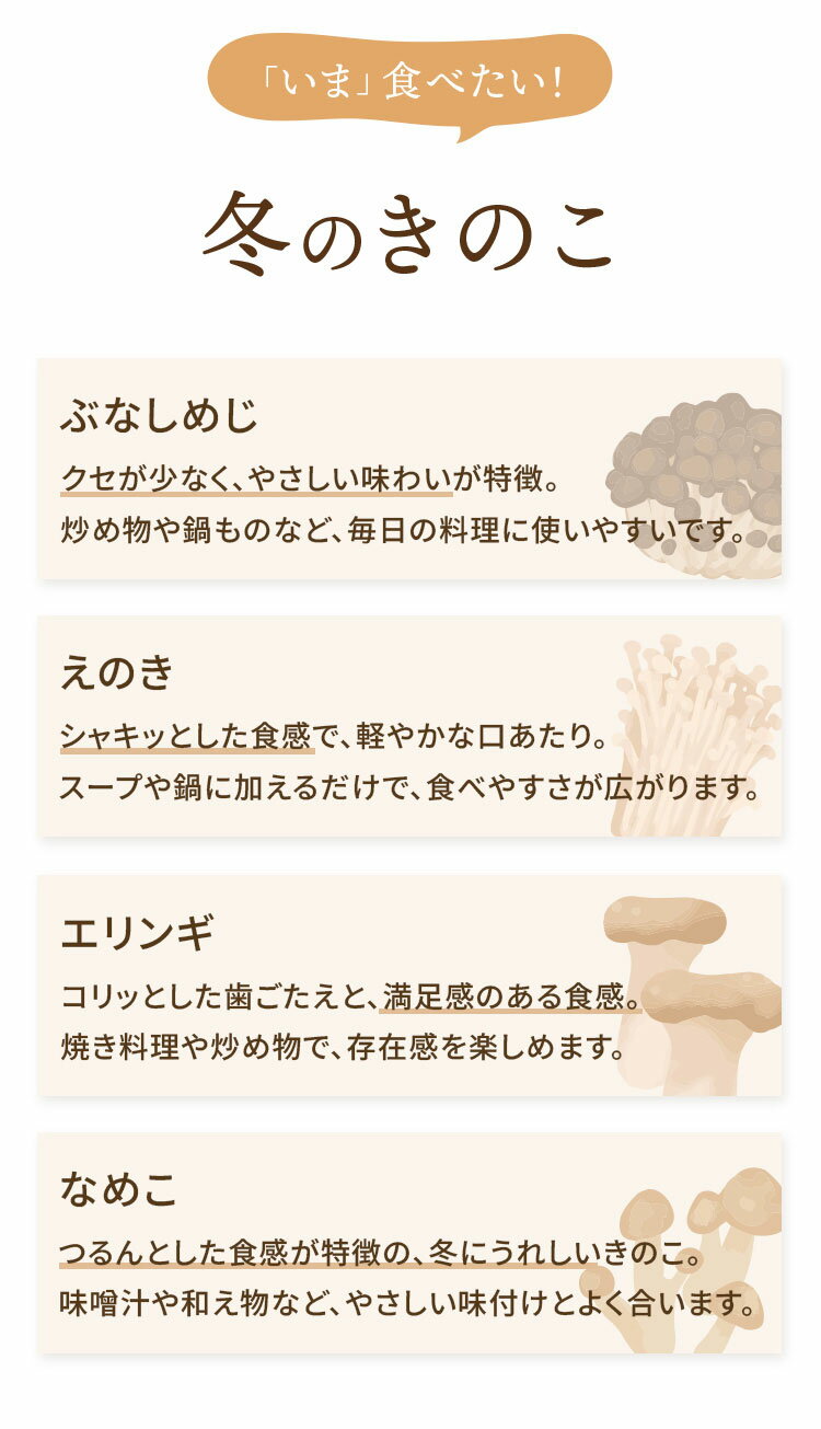 ≪旬便り≫冬のきのこ