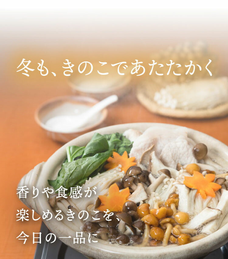 ≪旬便り≫冬のきのこ