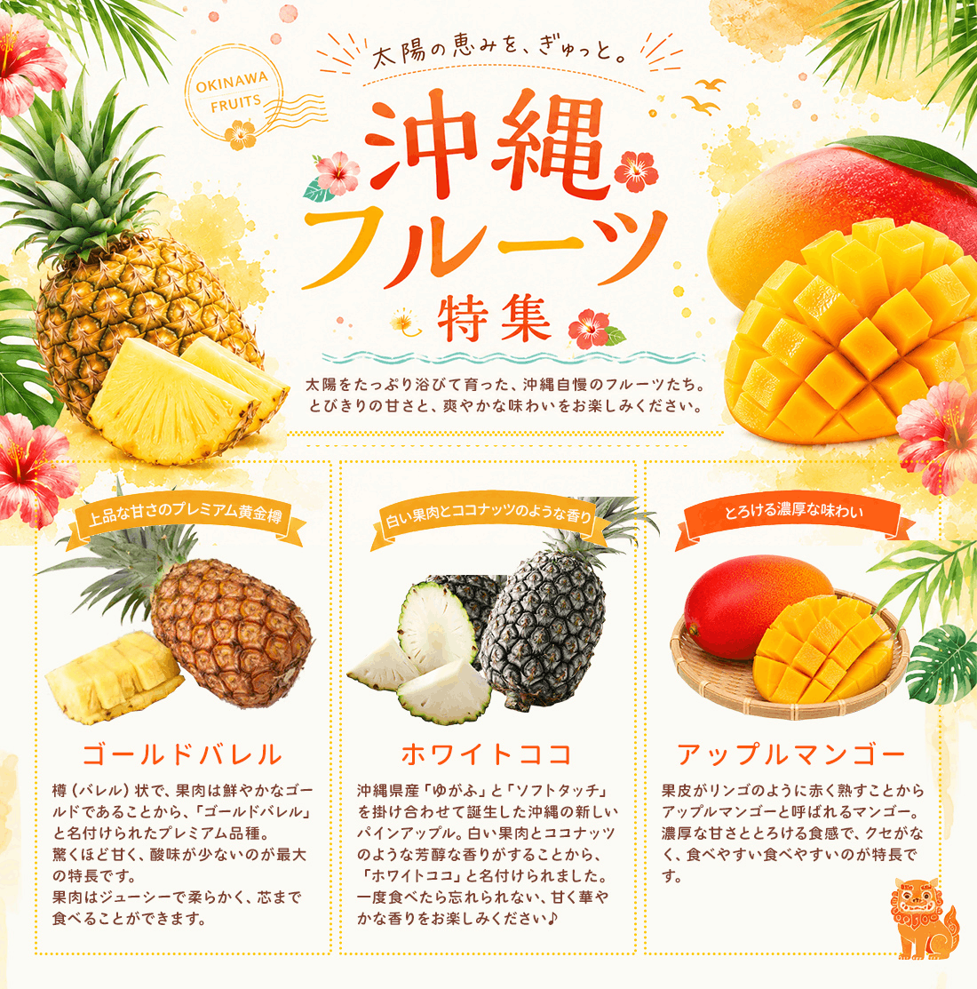 沖縄フルーツ