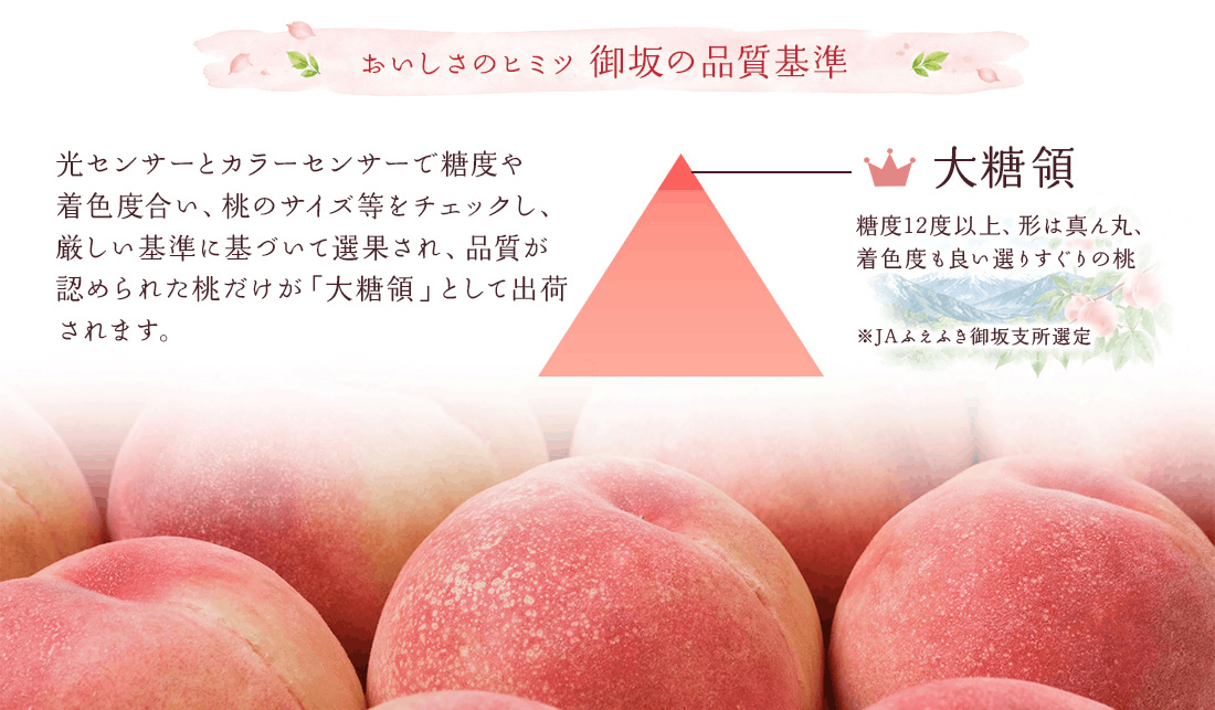 御坂の大糖領
