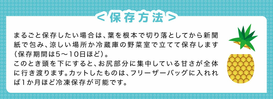 台湾パイン