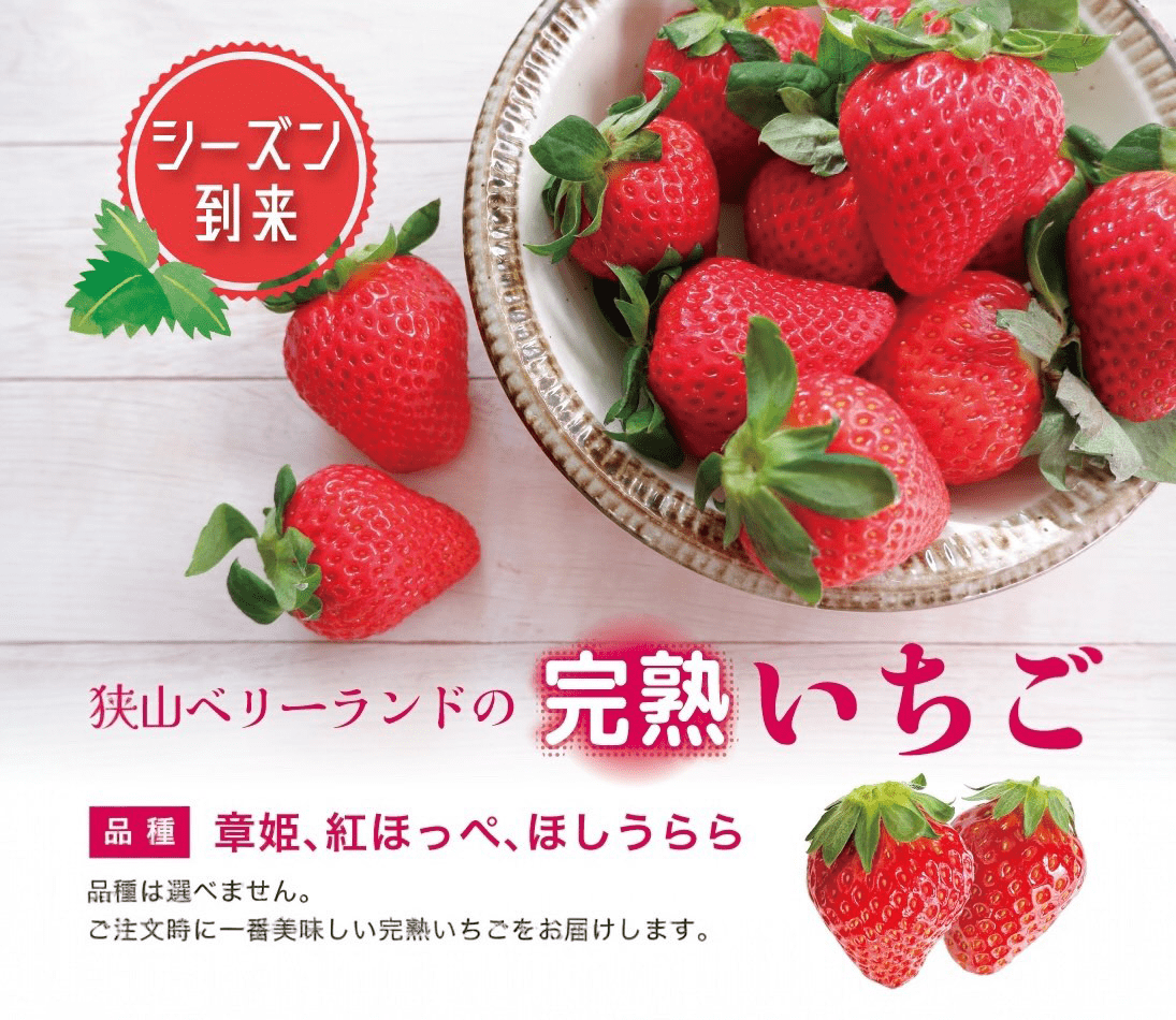 ≪いちごフェア≫いちご