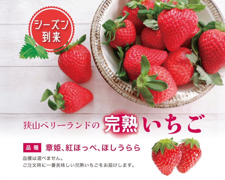 ≪いちごフェア≫いちご