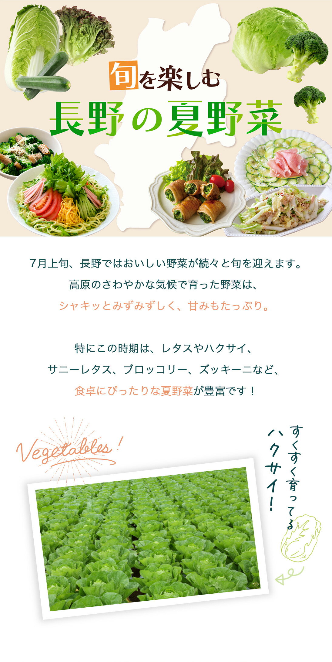 ≪旬便り≫長野の夏野菜