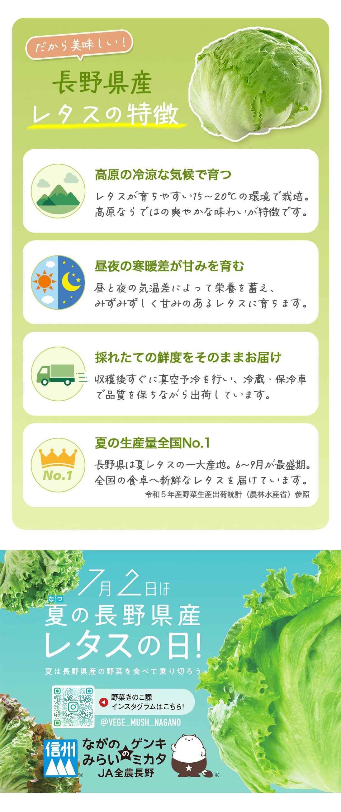 ≪旬便り≫長野の夏野菜