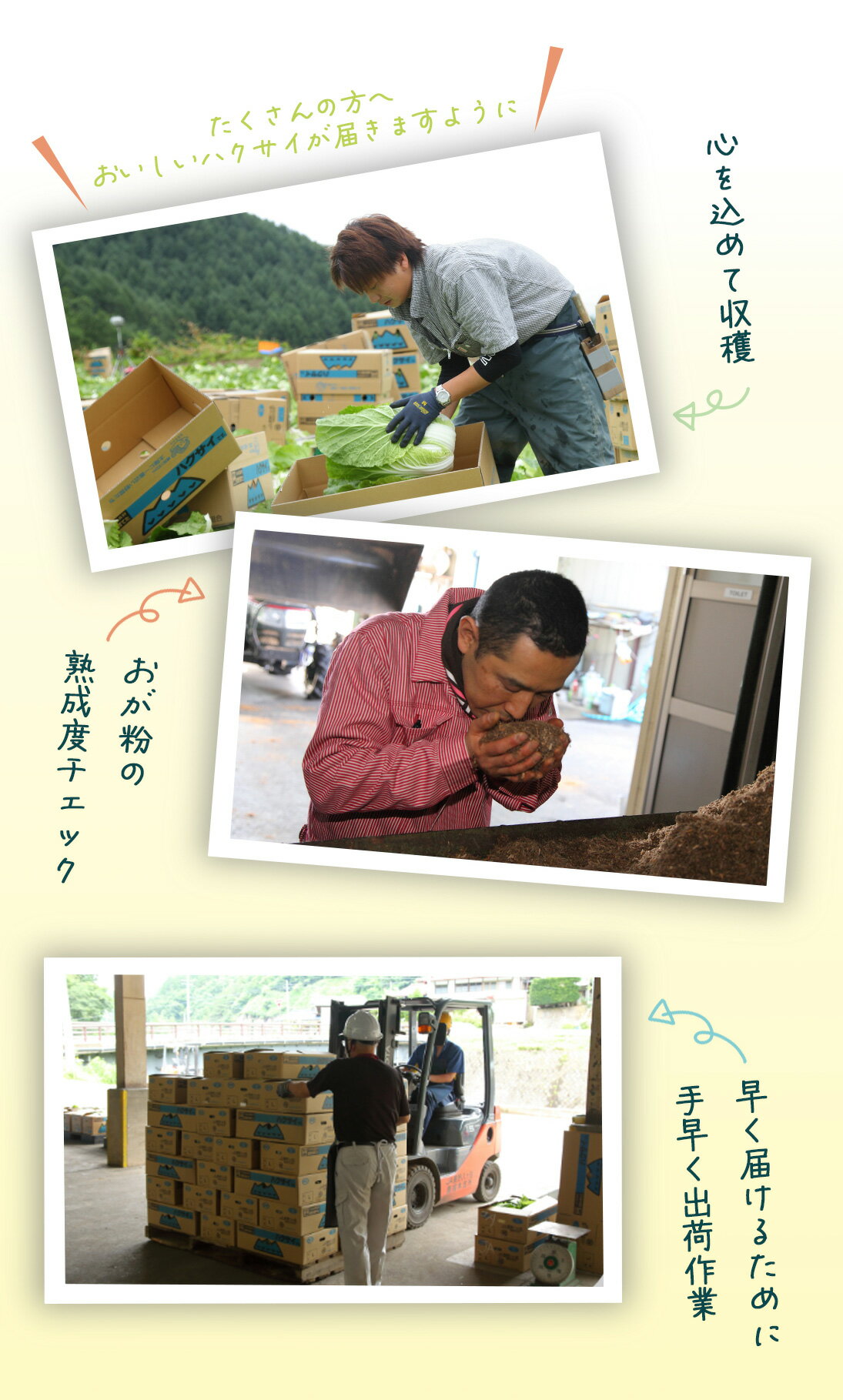≪旬便り≫長野の夏野菜