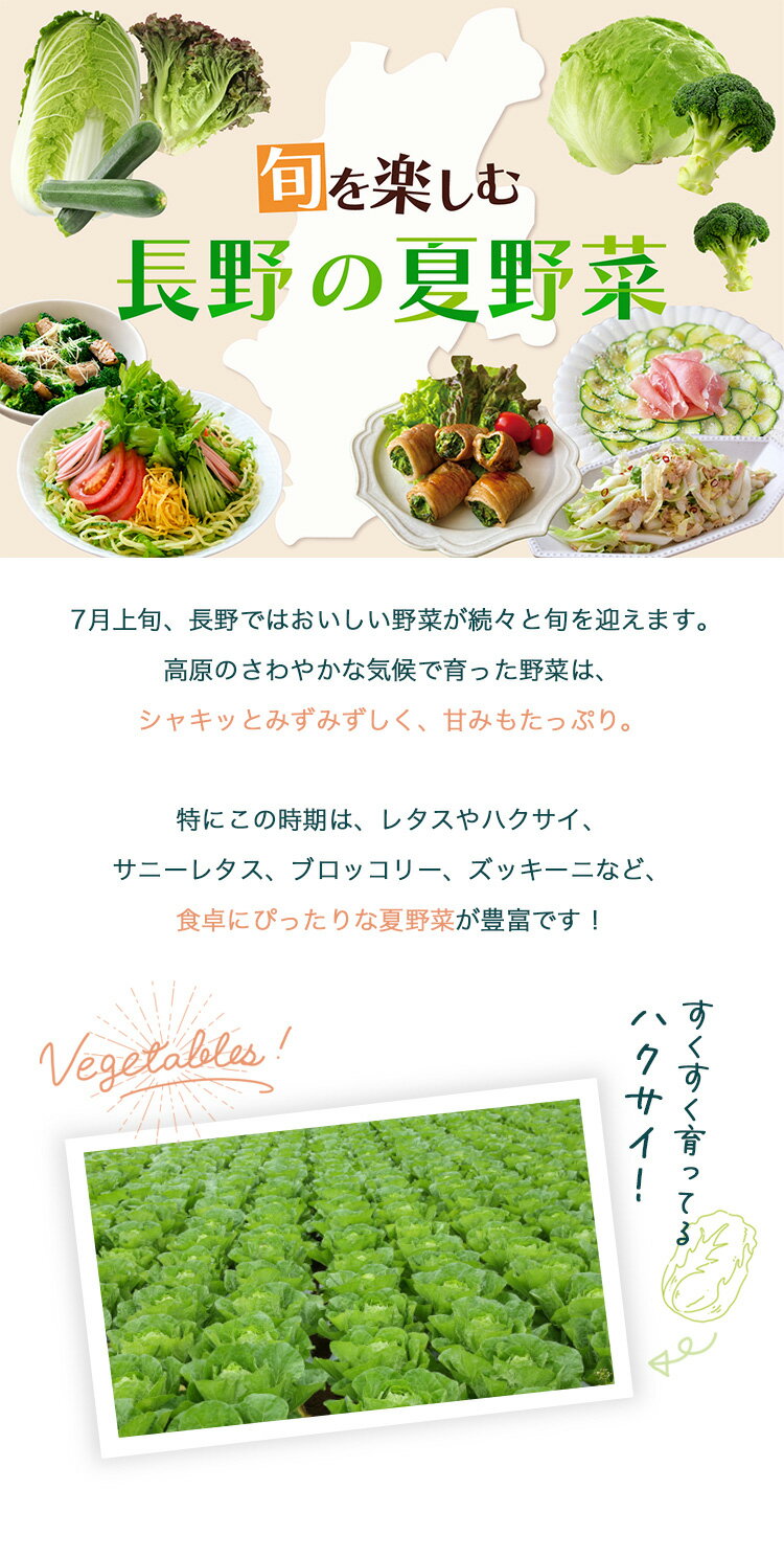 ≪旬便り≫長野の夏野菜