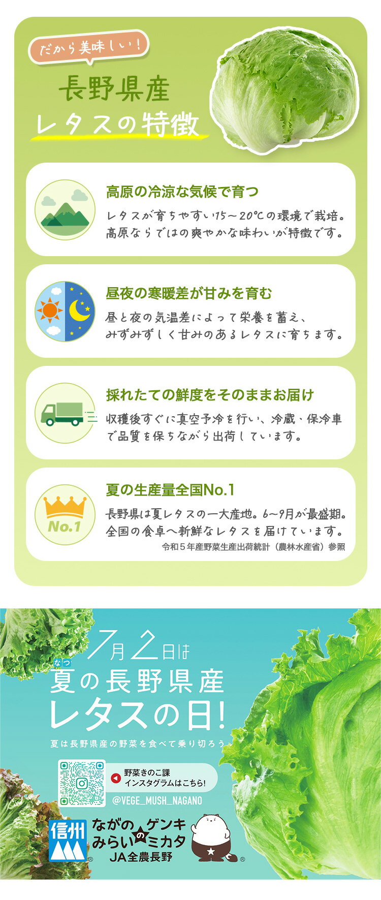 ≪旬便り≫長野の夏野菜