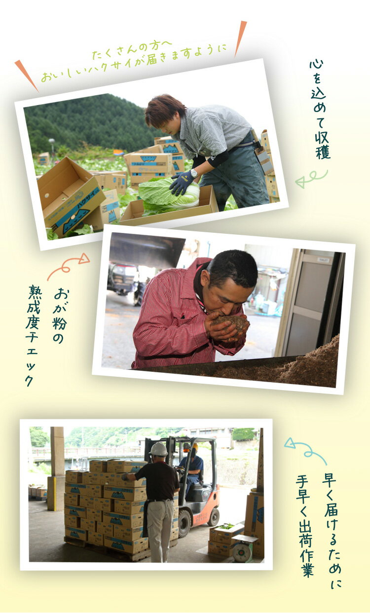 ≪旬便り≫長野の夏野菜
