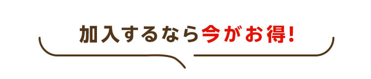 加入するなら今がお得