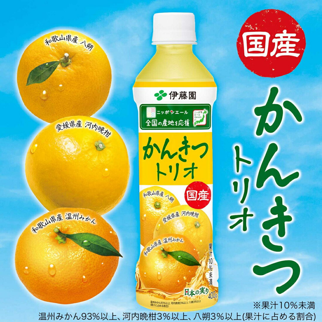 かんきつトリオ 国産 ペットボトル ニッポンエール｜楽天マート