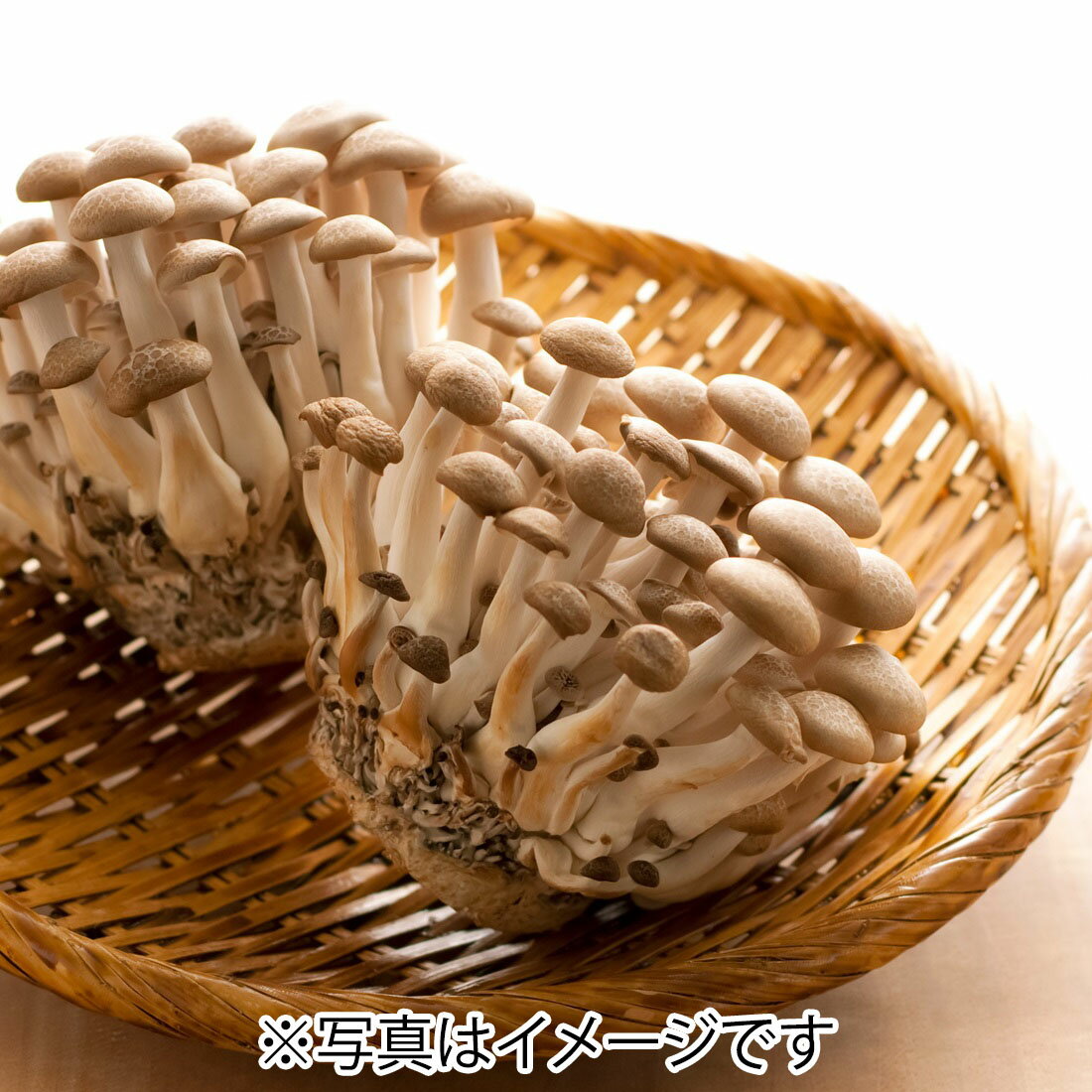きのこ類の宅配なら｜楽天マート - ネットスーパー