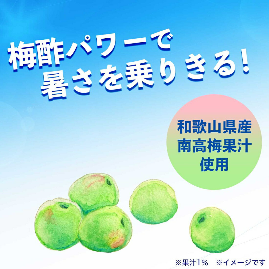 冷梅 (冷凍兼用ボトル) 塩分＆クエン酸｜楽天マート - ネットスーパー